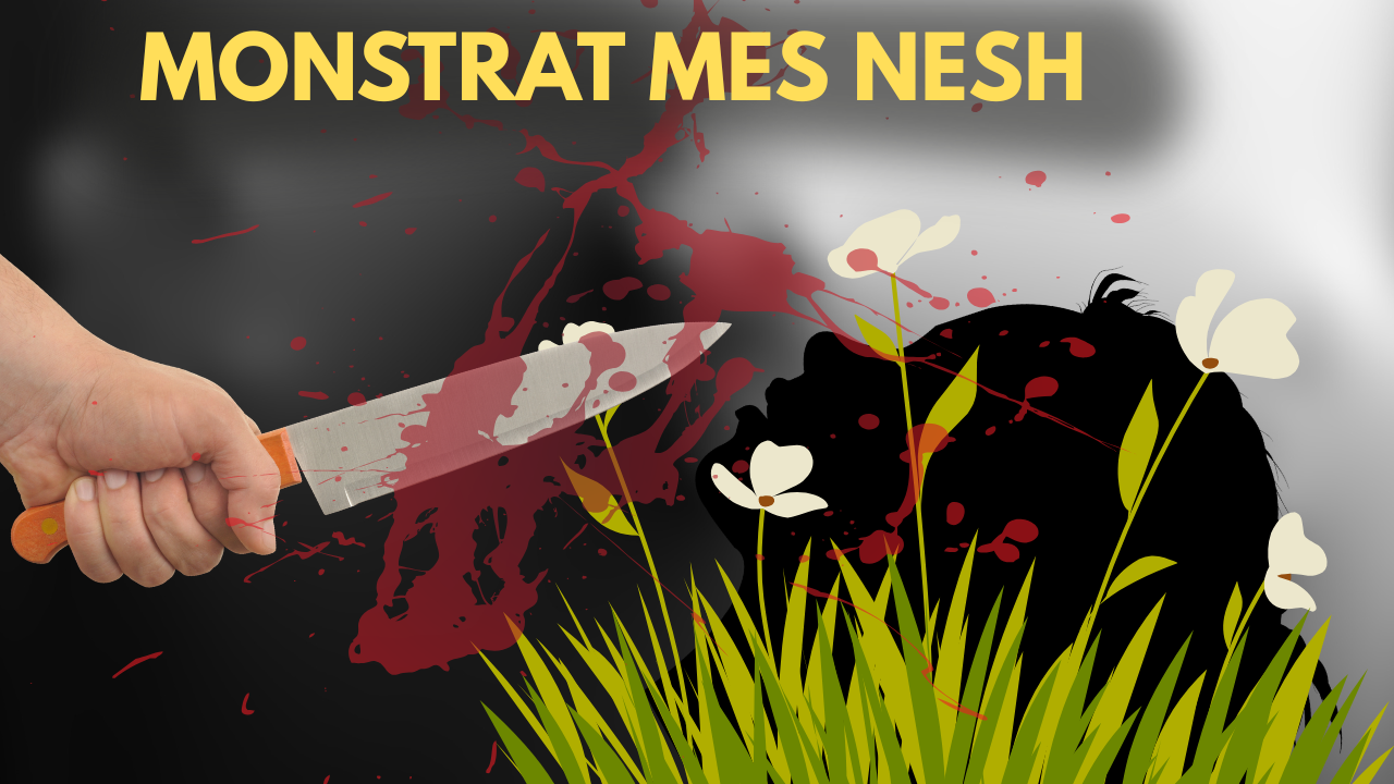 17-vjeçarja shtatzënë u gjet me kokën e prerë në Durrës! 5 ngjarje që tronditën Shqipërinë (VIDEO)